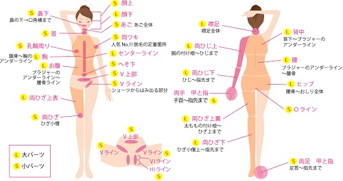 ���؃N���j�b�N�̒E��S�p�[�c�AL�p�[�c