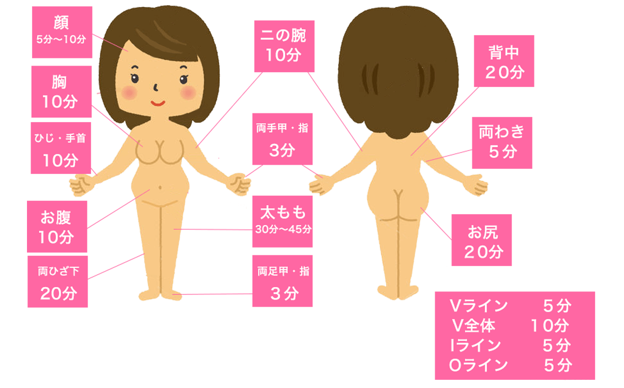 �A���A�Z�{�؃N���j�b�N�̕��ʕʗ���