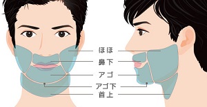 �h�N�^�[�R�o�̃q�Q�E�т͈̔�