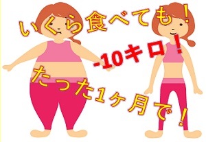 �_�C�G�b�g�T�v���̃t�F�C�N�L��