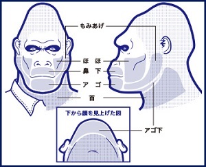 �S�����N���j�b�N�̕E�E�ѕ���