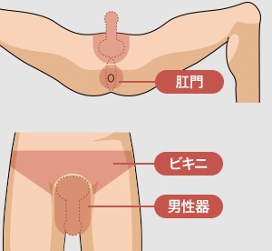 �S�����N���j�b�N��VIO�E�ѕ���