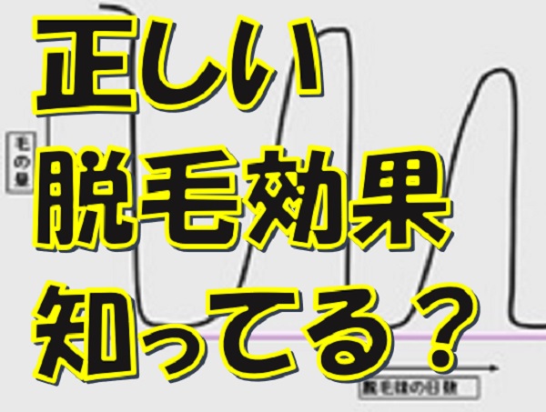 �E�ь��ʂ̐������o�߂ƒʂ��I���܂ł̒��ӓ_�����ׂĖԗ����܂��B