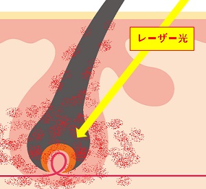 ���[�U�[�E�т̎d�g�ݐ}