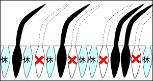 �E�E��1��