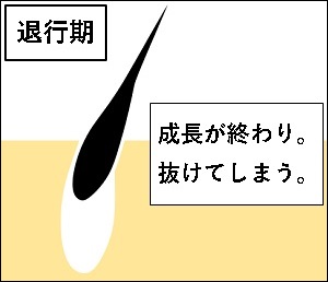 �ލs��