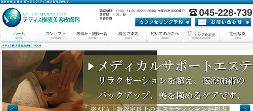 �e�e�B�X���_���e�畆��